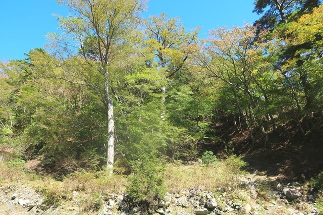 蛭ヶ岳南尾根登山口アップ写真