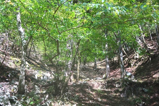 蛭ヶ岳南尾根登山口急坂