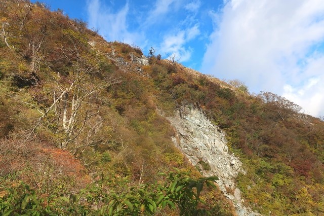 蛭ヶ岳南尾根の斜面