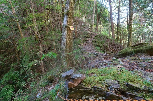 安倍の大滝ハイキングコースと奥大光山へ至る登山道分岐