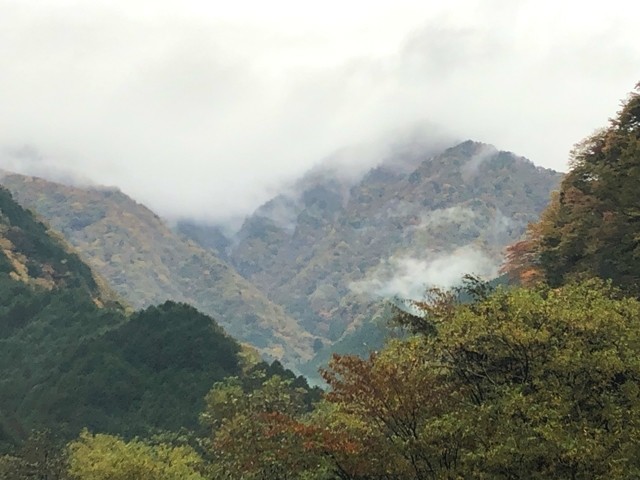 西日影沢ルートスタート地点