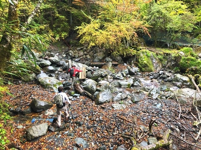 西日影沢ルートの沢沿いの様子