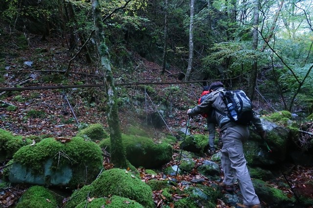 f苔むした登山道