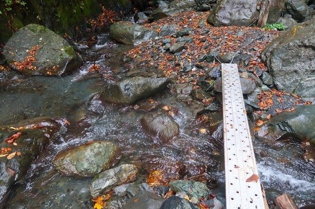 西日影沢の水の様子