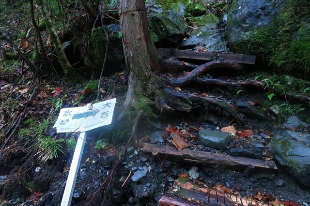 ワサビ小屋大岩ルート