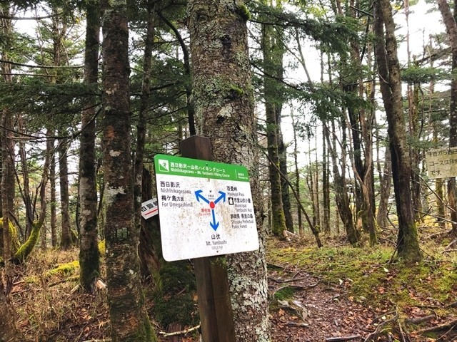 山伏小屋、山伏山頂分岐