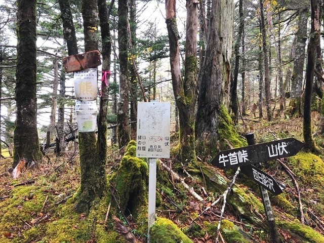 山伏小屋(避難小屋）は、牛首峠方面分岐