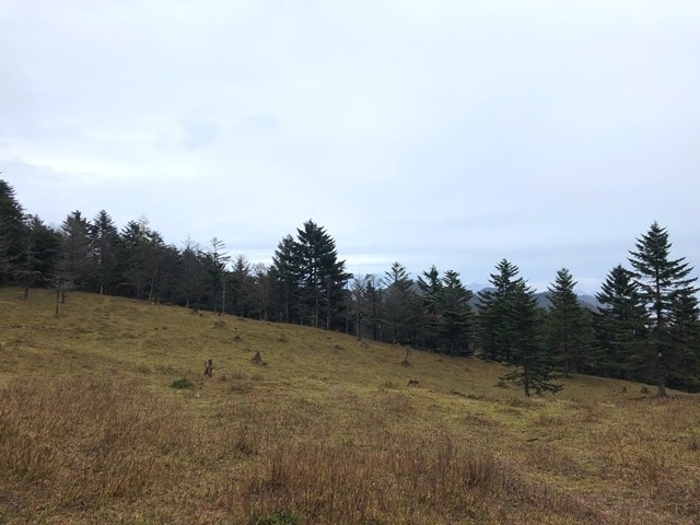 山伏の山頂から綺麗な富士山を見ることが出来る場所