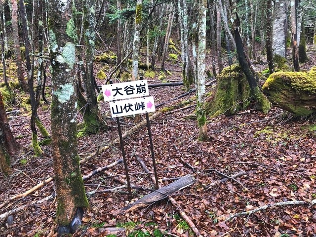 山伏から大谷崩れのルート道標