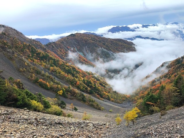 大谷崩れ登山ルートの紅葉