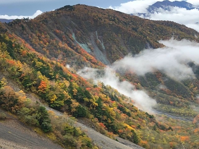 大谷崩れの斜面の紅葉