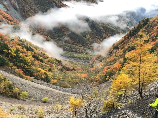 大谷崩れ落葉松の紅葉