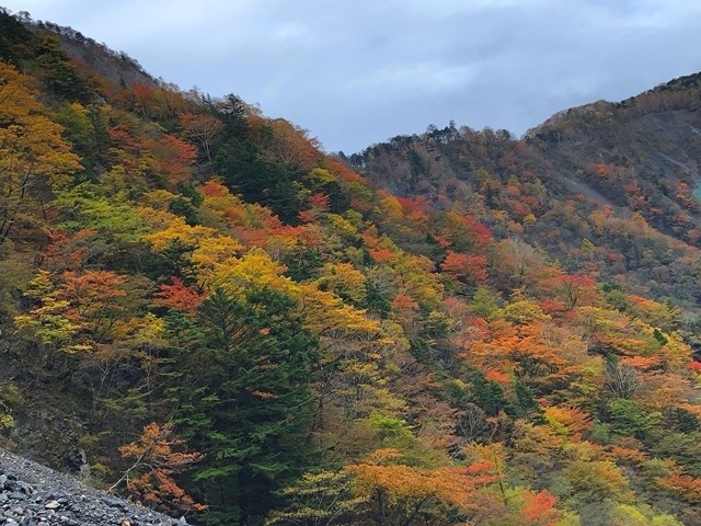 大谷崩れ（扇の要）周辺の紅葉