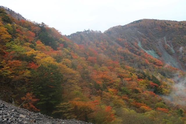 扇の要周辺の紅葉