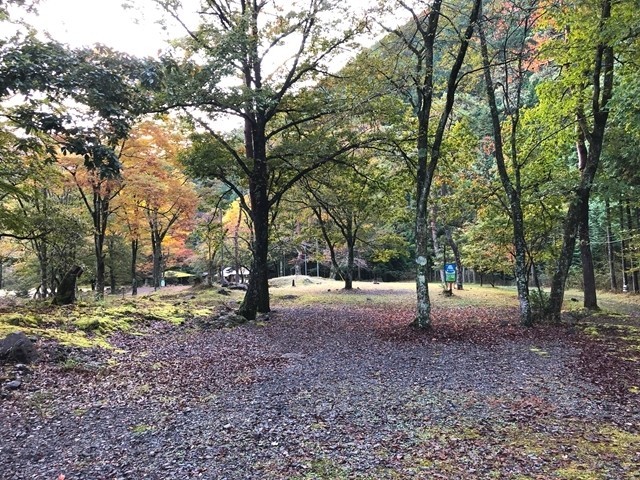 梅ヶ島キャンプ場のキャンプサイトの様子