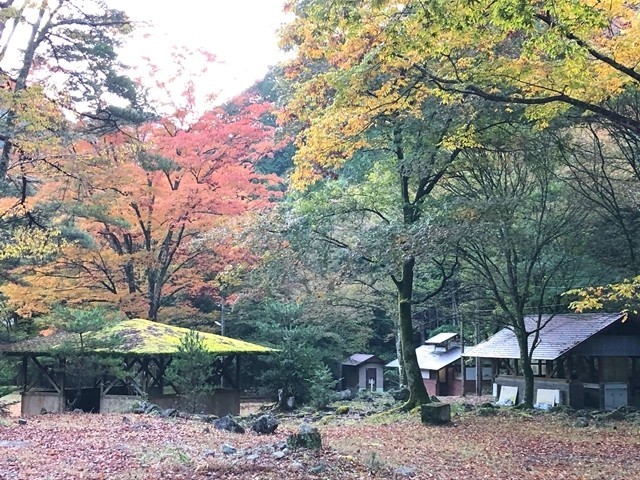 梅ヶ島キャンプ場の炊事場とテントサイト全景