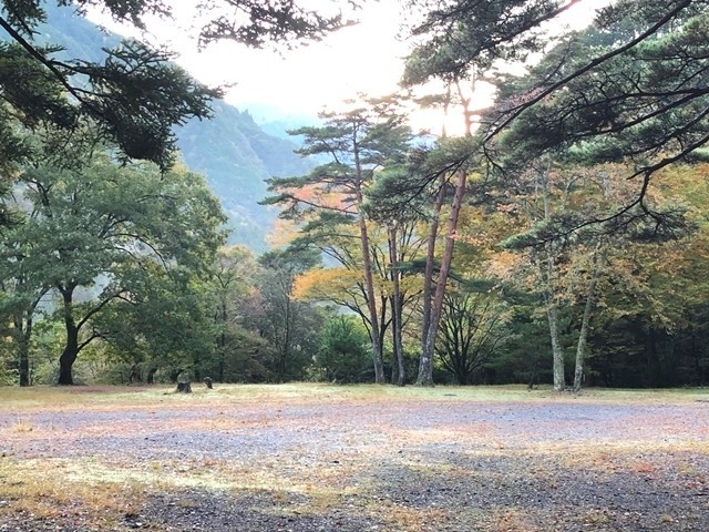 団体用のキャンプサイト