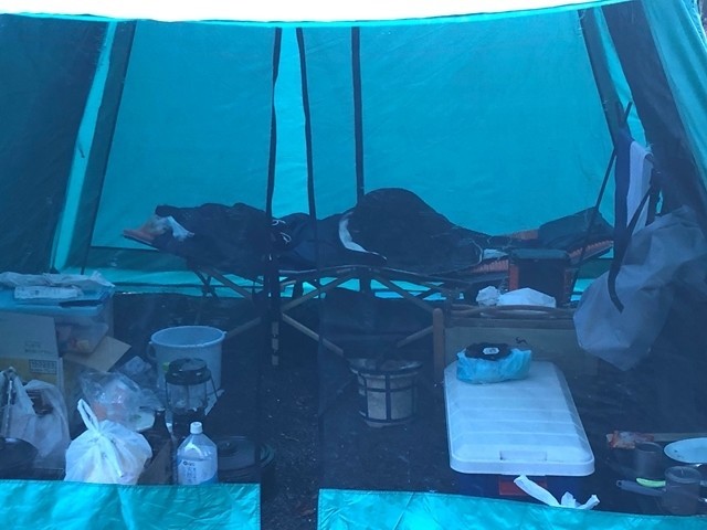 テントの内部の様子と荷物