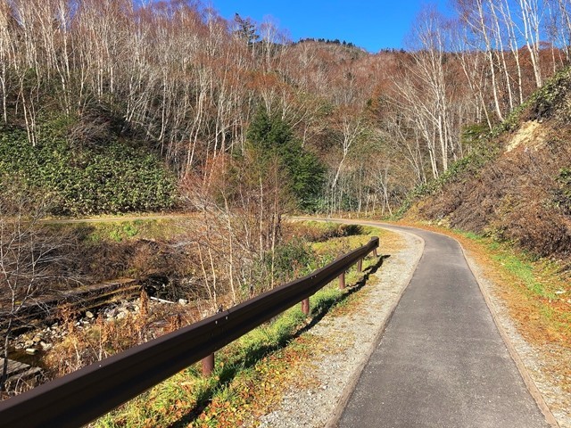 リヤカーを牽きながらキャンプ場へ向かう様子