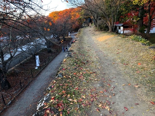 小諸城址の石垣の上の様子