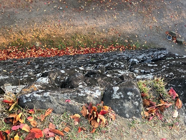 石垣から下を見た写真と高さ