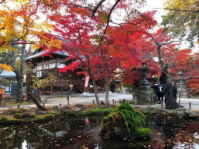 懐古神社と池、紅葉の様子
