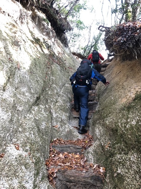 御在所岳登山道コースの詳細