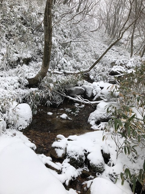 国見岳への登山ルート雪山