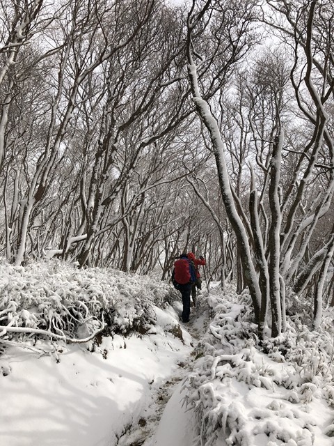 石門から国見岳への登山コース