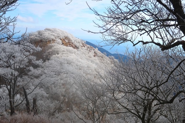 丹沢山の前衛の日高と霧氷の景色