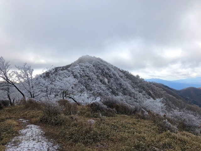 霧氷に覆われた塔ノ岳を振り返って見る