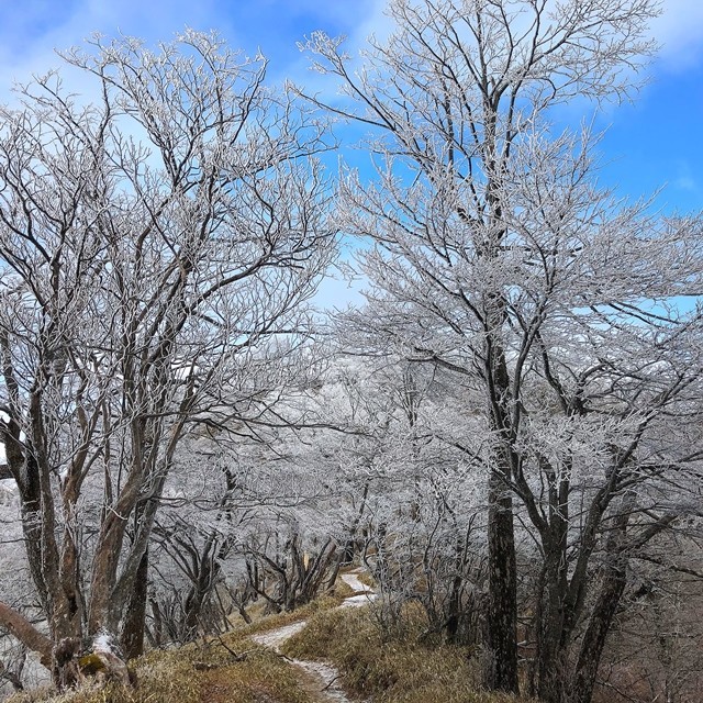 丹沢山への登山者が少なく静かな登山道