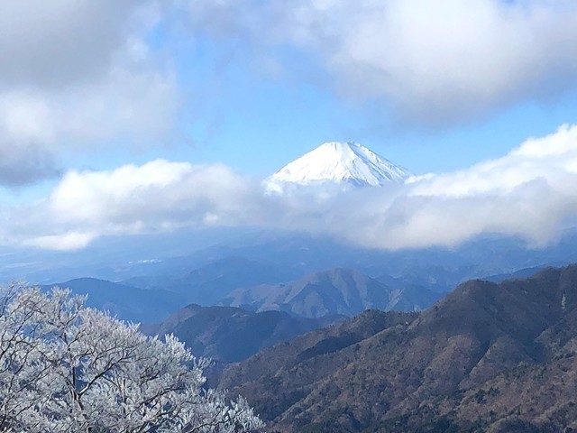 丹沢山から眺める今年初めての富士山