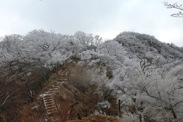 塔ノ岳から丹沢山へ続く風の強い尾根と霧氷