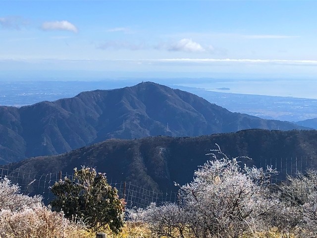 竜ヶ馬場のベンチから眺める大山と江ノ島の景色