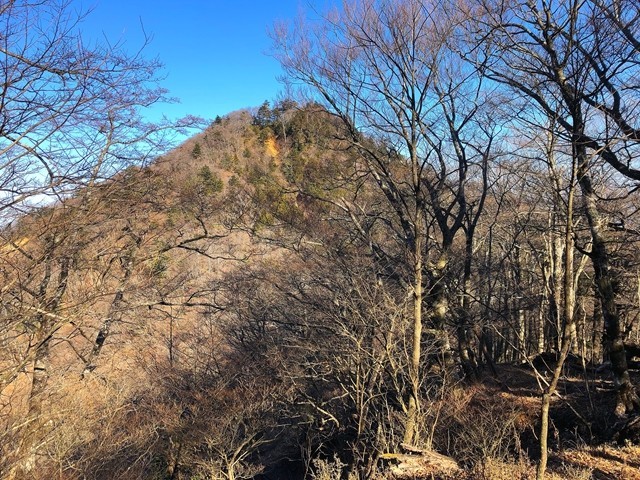 丹沢三峰縦走ルート最初のピーク西峰の太礼ノ頭