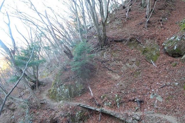 丹沢三峰縦走ルートの落石事故現場