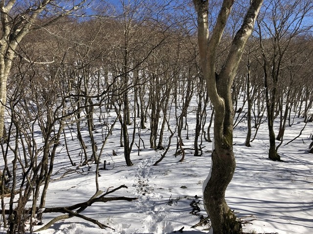 七人山への登山ルート