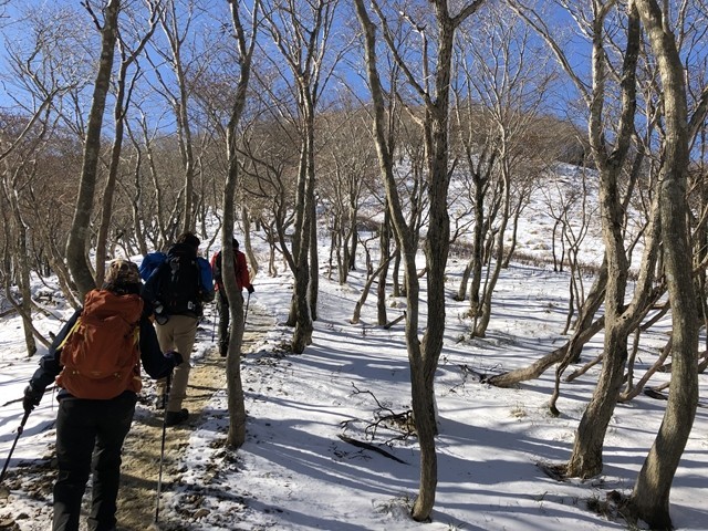 七人山・東雨乞岳分岐