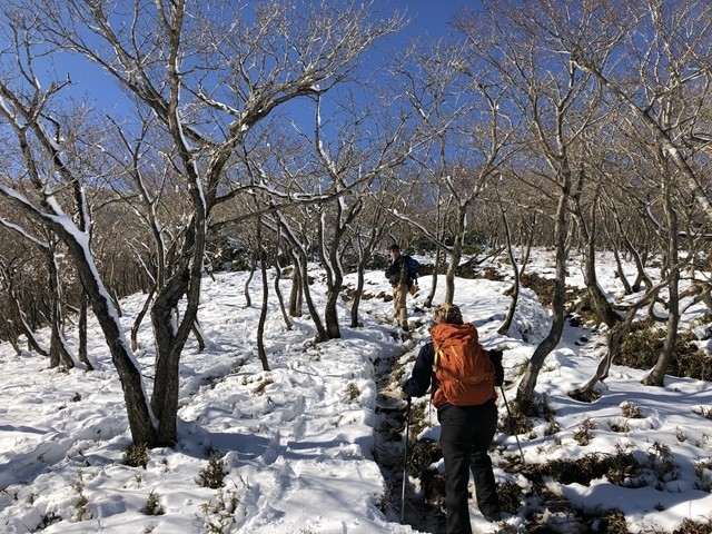 東雨乞岳へのルートが荒れている