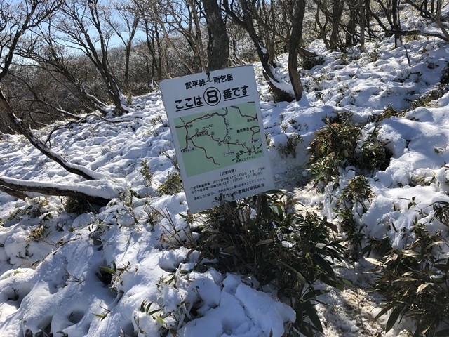 東雨乞岳登山道８番