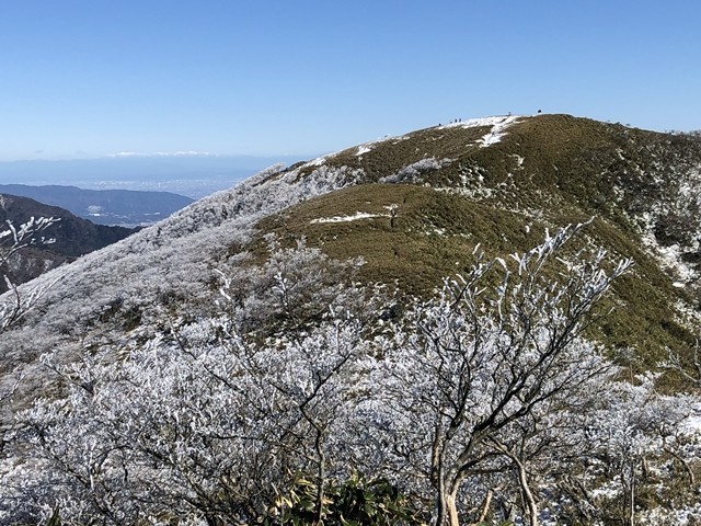 雨乞岳は霧氷