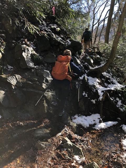 >雨乞岳からの下山道