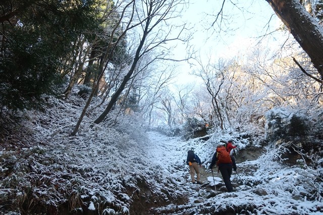 武平峠まで雪景色