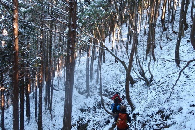 雨乞岳登山ルートの雪景色