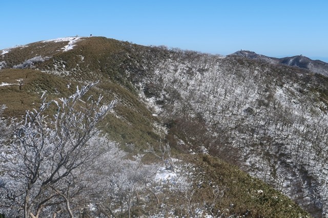 >東雨乞岳の斜面は霧氷の森