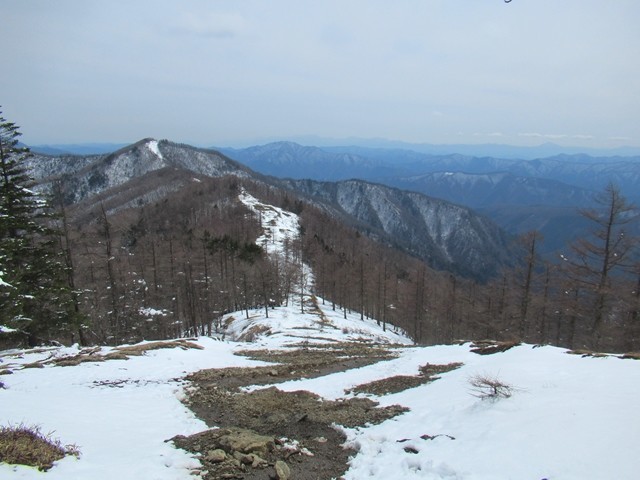 雲取山の山頂