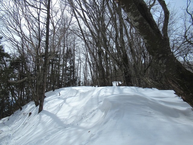 千本ツツジの稜線赤指山登山道