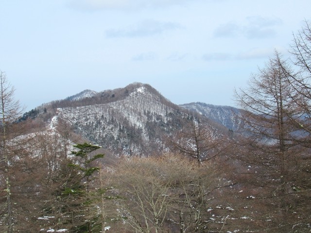 鷹ノ巣山景色