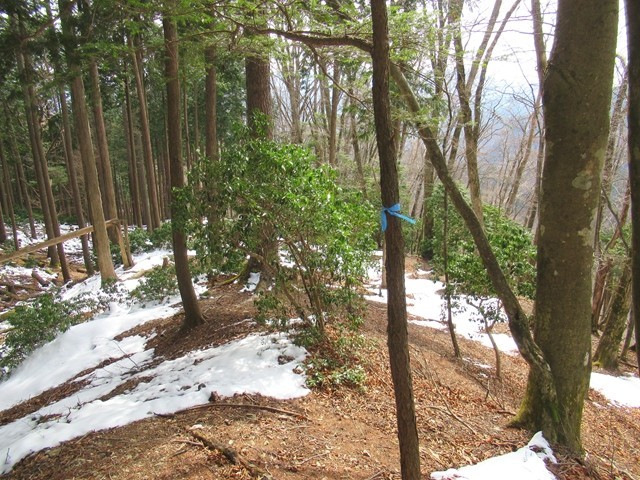 赤指尾根の入口のマーキング